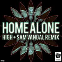 Home Alone - High