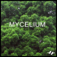 blanketdragon - Mycelium