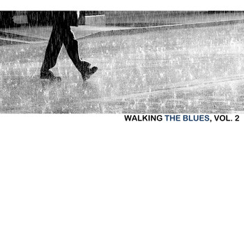 Various Artists - Walking the Blues, Vol. 2