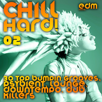Various Artists - Chill Hard!, Vol. 2 (30 Top Bumpin Grooves, Psybient, Lounge, Downtempo, Dub Killers)