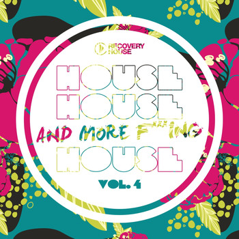 Various Artists - House, House And More F..king House, Vol. 4