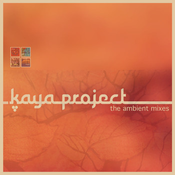 Kaya Project - The Ambient Mixes