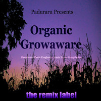 Paduraru - Organic Growaware