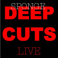 Sponge - Deep Cuts Live