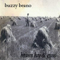 Buzzy Beano - Between Hay & Grass