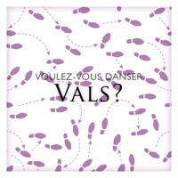 Gran Orquesta Vienesa - Voulez-vous danser vals?