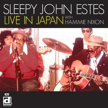 Sleepy John Estes - Live in Japan with Hammie Nixon