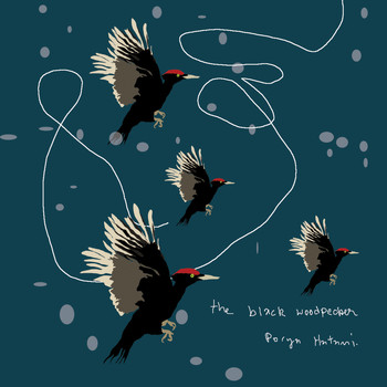 Porya Hatami - The Black Woodpecker
