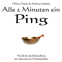 Hilmar Hajek & Andreas Seebeck - Alle 2 Minuten ein Ping