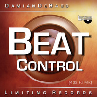 DamianDeBASS - Beat Control (432 Hz Mix)