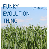 Marebo - Funky Evolution Thing