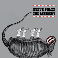 Steve Poltz - The Accident