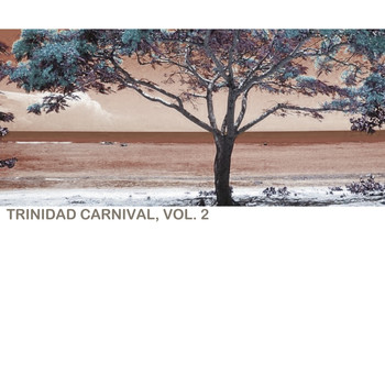 Various Artists - Trinidad Carnival, Vol. 2