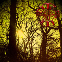 Mary Jane - Solstice