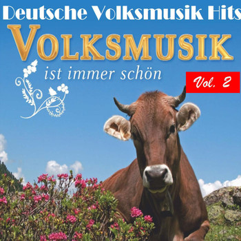 Various Artists - Deutsche Volksmusik Hits - Volksmusik ist immer schön, Vol. 2
