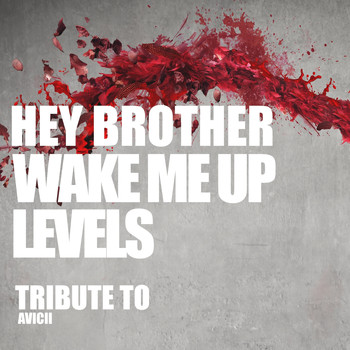 Dj Kee - Hey Brother, Wake Me Up, Levels: Tribute to Avicii
