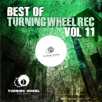 Various Artists - Best of Turning Wheel Rec, Vol. 11