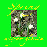 Magnam Gloriam - Spring