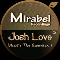 Josh Love - What's The Question !