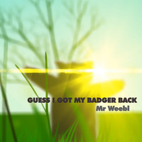 Mr Weebl - Guess I Got My Badger Back