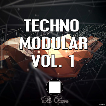 Various Artists - Techno Modular Vol 1