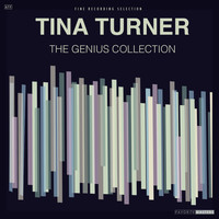 Tina Turner - The Genius Collection