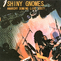 Shiny Gnomes - Anarchy Domine Live 2007!