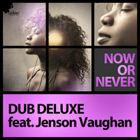 Dub Deluxe feat. Jenson Vaughan - Now or Never (Remixes)