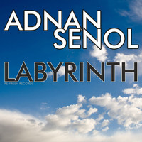 Adnan Senol - Labyrinth