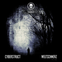 Cyberstruct - Weltschmerz