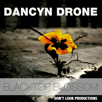 Dancyn Drone - Blacktop Blossom