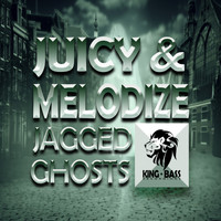 DJ Juicy & Melodize - Jagged Ghosts