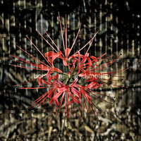 Allegra Gellar - Bodies, Rest, and Motion