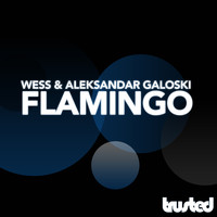 Wess & Aleksandar Galoski - Flamingo