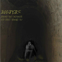 Biosys - Don't Be Afraid of the Dark