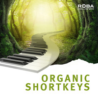 Martin Kohlstedt - Organic Shortkeys (ROBA Series)