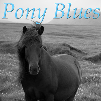 Various Artists - Pony Blues