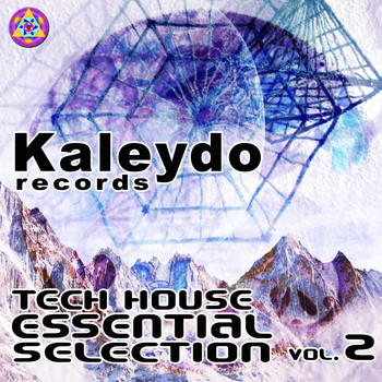 Various Artists - Tech House Essential Selection Vol.2