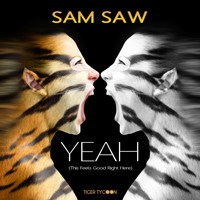 Sam Saw - Yeah (This Feels Good Right Here)