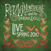 Ray LaMontagne - Live - Spring 2010