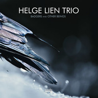 Helge Lien Trio - Badgers and Other Beings