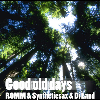 Di Land, Romm, Syntheticsax & Room - Good Old Days