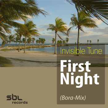 Invisible Tune - First Night (Bora-Mix)