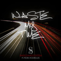 Swiss Dance System feat. Pedro Rodrigues - Waste My Time