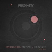 Hyroglifics - Ensnare/Soundboy (Mtwn Remix)