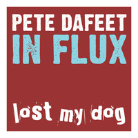 Pete Dafeet - In Flux