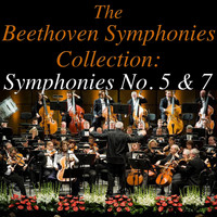 Sinfonia Varsovia - The Beethoven Symphonies Collection:  Symphonies No. 5 & 7
