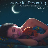 Chillout Relaxation Dream Club - Music for Dreaming, Vol. 2 - 50 Chill Out Nature Sounds Relaxation Meditation Music, Chillax New Age Asian World Music 4 Tranquil Moments & Sleep Time