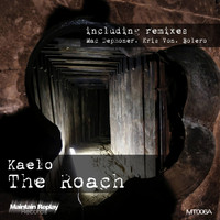 Kaelo - The Roach