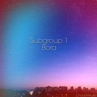 Subgroup 1 - Bora